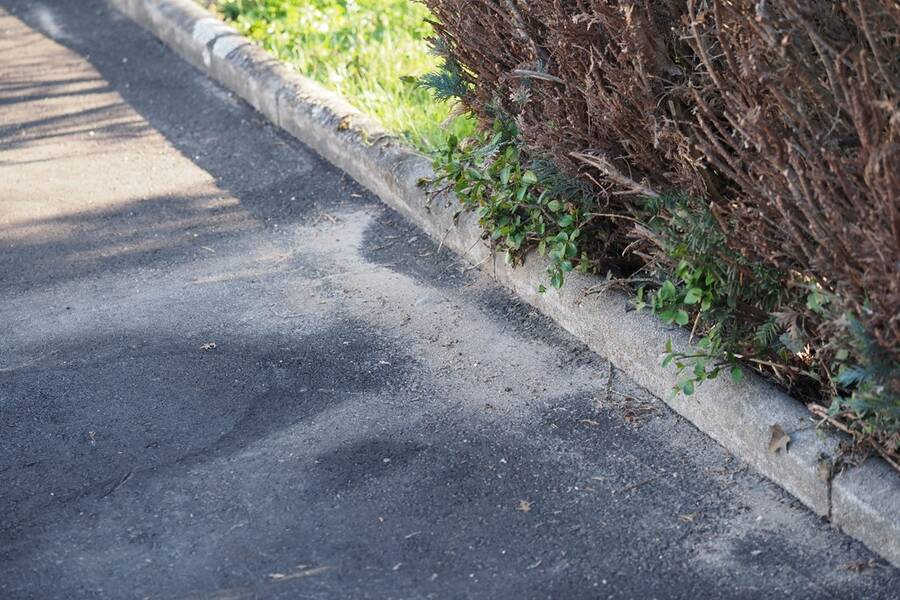 Ein schwarzer Asphaltweg ist neben einer niedrigen Bordsteinkante zu sehen, an der eine Hecke mit grünen Pflanzen und trockenen Ästen wächst.