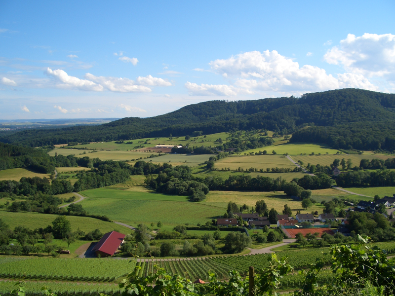 Eine malerische Landschaft mit hügeligen Feldern, Waldgebieten und vereinzelten Gebäuden unter einem blauen Himmel mit weißen Wolken.