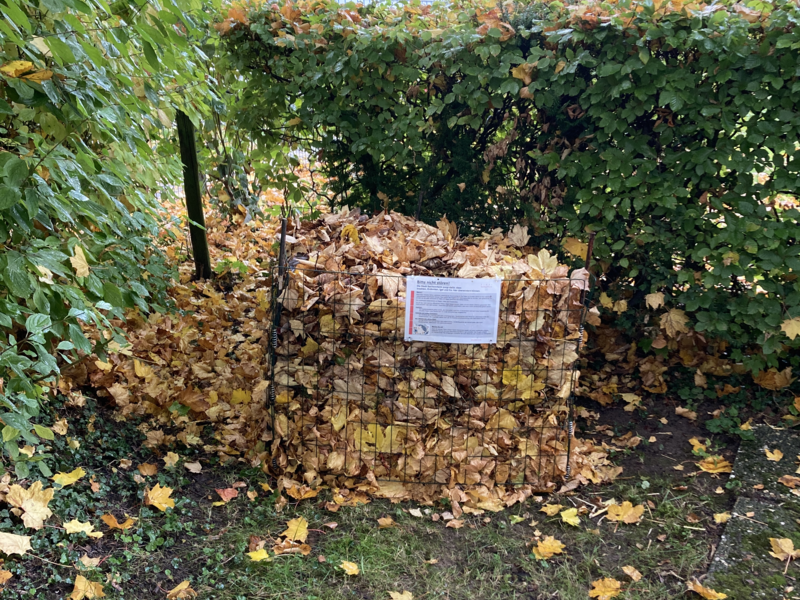 Schutz und Überwinterungshilfe für Igel und Insekten: Ein Drahtkorb, gefüllt mit herbstlichen Blättern, steht auf einer Wiese vor einer Hecke, mit einem Gebäude und Bäumen im Hintergrund.