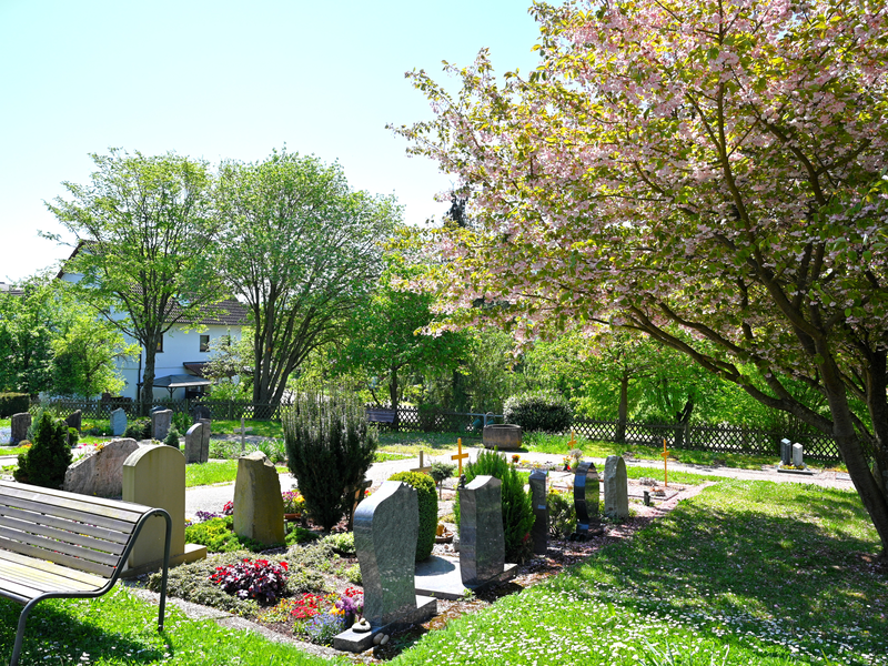 Ein gepflegter Friedhof mit blühenden Kirschbäumen, Grabsteinen und einer Holzbank in sonniger Umgebung.