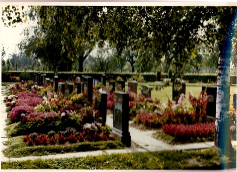 Eine grüne Friedhofsanlage mit Reihen von Grabsteinen, üppig bepflanzt mit bunten Blumen und von Bäumen umgeben.