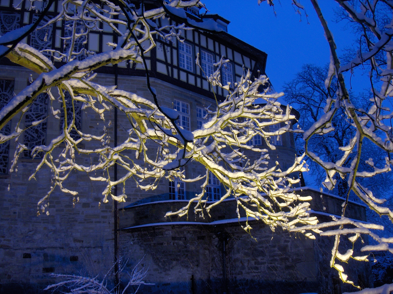 Beleuchtete Äste vor Wasserschloß in der Nacht
