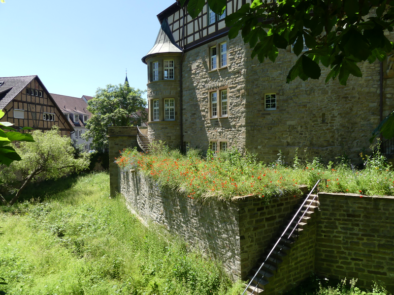 Wasserschloss im Sommer mit blauem Himmel und Wiese davor