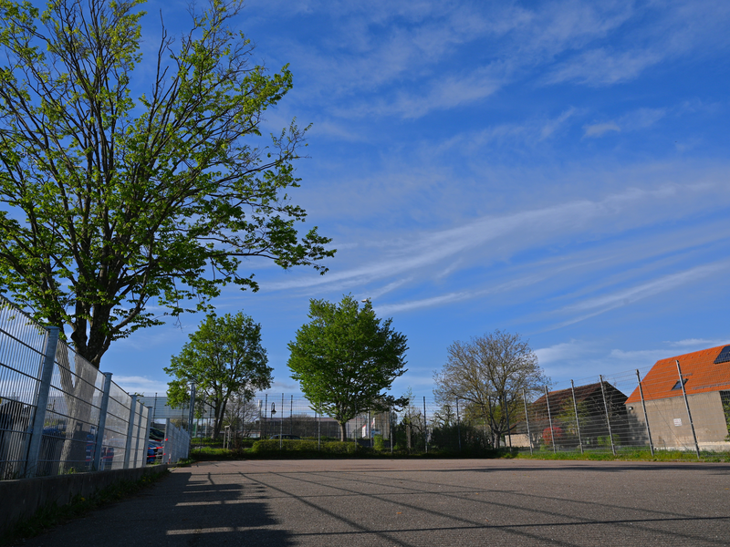 Ein leerer Asphaltplatz ist von Bäumen, einem Zaun und Gebäuden mit roten Dächern umgeben, unter einem blauen Himmel mit leichten Wolken.