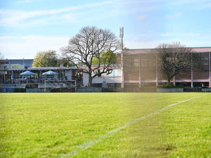 Ein gepflegtes, leeres Fußballfeld erstreckt sich vor einer modernen, von Bäumen gesäumten Sportanlage mit überdachten Sitzbereichen und einer großen Halle im Hintergrund.