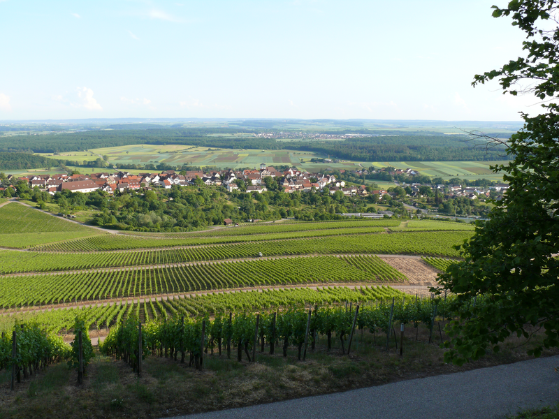 Blick vom Kirbachtal auf Hohenhaslach im Sommer