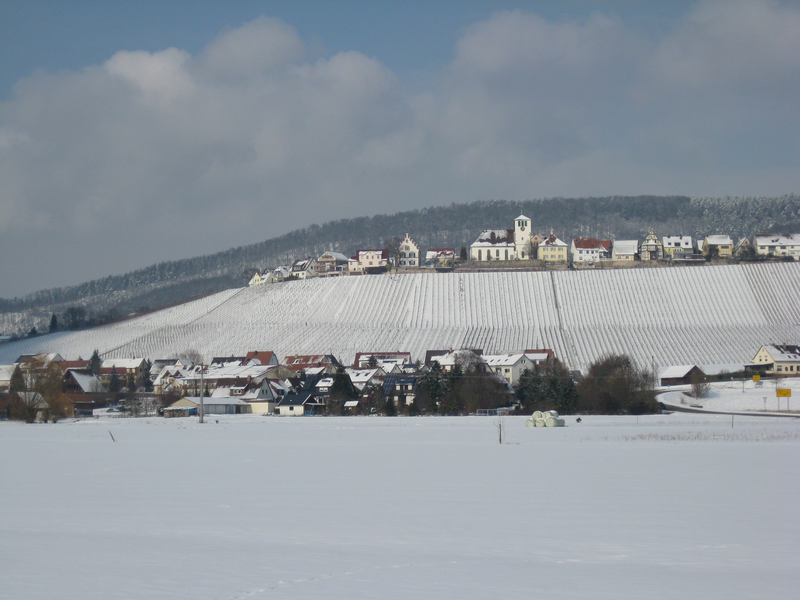 Blick auf Hohenhaslach im Winter