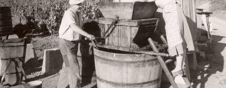 Zwei Personen arbeiten auf einem Weinberg an einer traditionellen Weinpresse, umgeben von Weinreben und Hügeln.