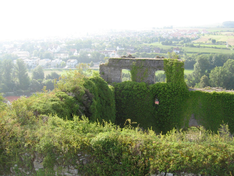Eine mit Efeu bewachsene, alte Mauer steht im Vordergrund, während im Hintergrund eine weite, grüne Landschaft mit Häusern und Bäumen zu sehen ist.