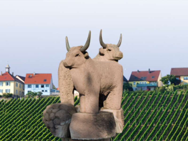 Eine Collage zeigt Fachwerkhäuser, eine Kirche, ein Stierdenkmal, einen Brunnen und einen Pavillon vor einem Hintergrund von Weinbergen und Dorfhäusern.