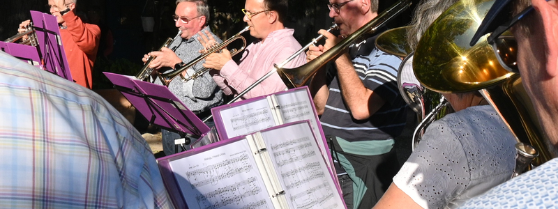 Das Bild zeigt Personen die Musikinstrumente spielen.