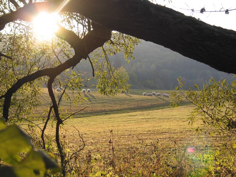 Sonnenuntergang im Herbst