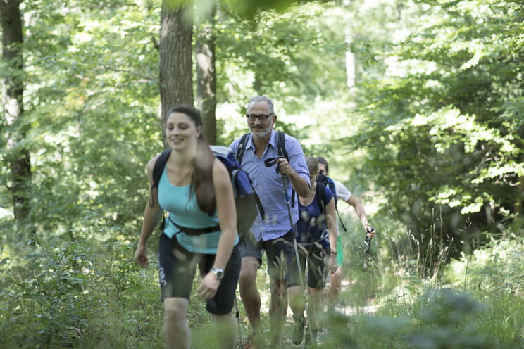 Eine Gruppe von Menschen wandert auf einem Waldweg, umgeben von üppigem Grün.