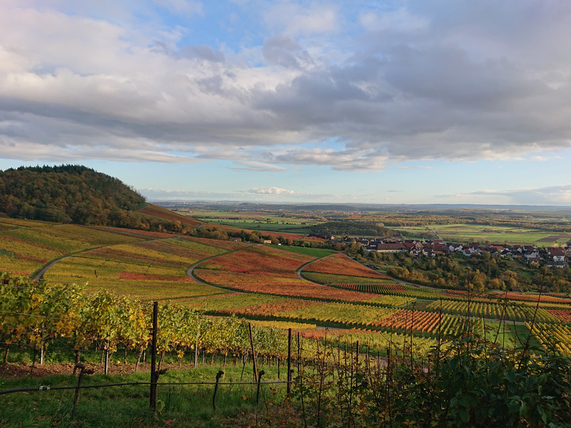 Blick über bunt gefärbte Weinberge im Herbst, die sanft geschwungen über die Landschaft verlaufen, mit einem Dorf im Hintergrund und einem bewaldeten Hügel unter einem dramatischen Himmel mit Wolken.