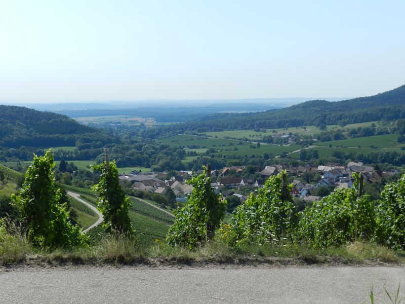 Ein Blick auf eine ländliche Gegend mit einem Dorf im Tal, umgeben von grünen Feldern und Hügeln, sowie Weinreben im Vordergrund.