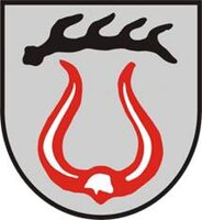 Das Bild zeigt ein Wappen mit einem roten Stierhorn, in dessen Mitte ein weißer Bereich ist, und darüber ein schwarzer Hirschgeweihbalken auf grauem Hintergrund.