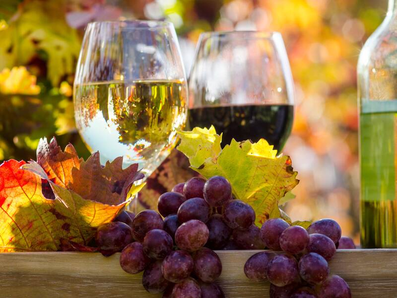 Ein Glas Weißwein und ein Glas Rotwein stehen auf einem Tisch, umgeben von bunten Herbstblättern und Trauben.