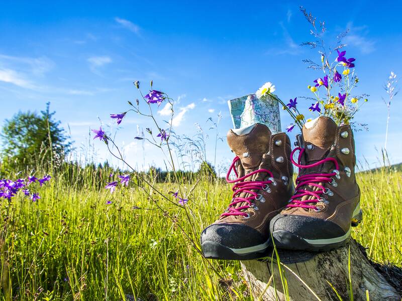 Ein Paar Wanderschuhe steht auf einem Baumstumpf in einer blühenden Wiese, mit Blumen und einer Karte in den Schuhen.