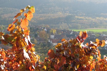 SH1 - Rundwanderweg Historisches Kirbachtal