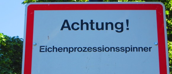 Sperrung aller Waldspielplätze