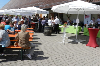 Kelterplatz Hocketse
