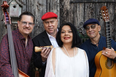 Fauzia Maria Beg Cosmoacustico Quartett - Weltmusik unplugged