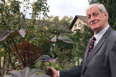 Bildervortrag "Pflanzen der Bibel in Sachsenheim entdeckt" Referent: Dr. Rainer Bausch