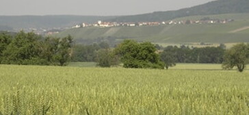 Angebote