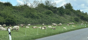  Landschaftspfelge im Zweckverband Eichwald