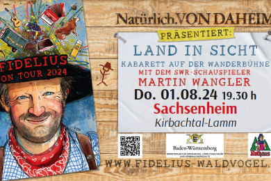 Land in Sicht: Kabarettabend mit Martin Wangler