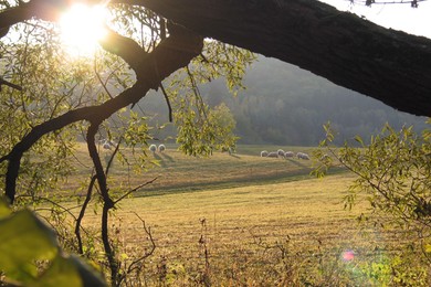 Wanderung: Planetenweg