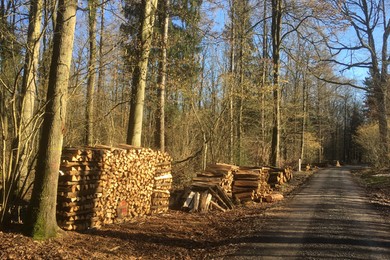 Brennholzverkauf in Hohenhaslach
