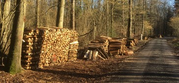 Hohenhaslach am 18. Dezember 2023