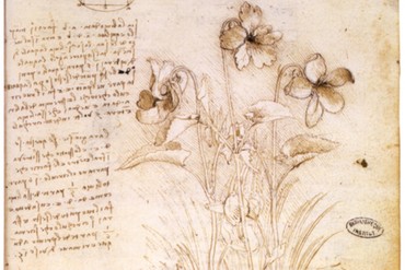 Sonderausstellung DaVinci