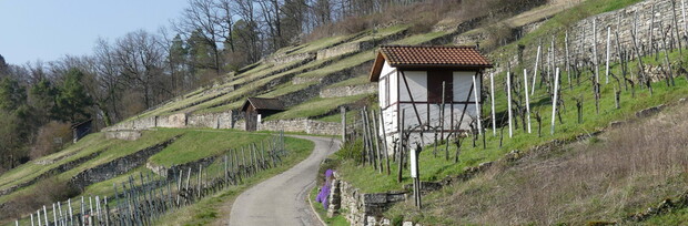 Geigersberg