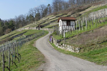 Geigersberg