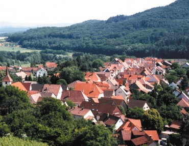 Ochsenbach Headerbild