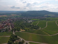 Blick auf den Weinort Hohenhaslach