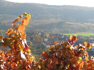 Herbst-Impressionen im Weinort Ochsenbach
