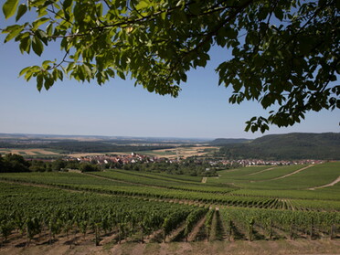 Blick auf Hohenhaslach © Kraichgau-Stromberg Tourismus e.V. / Ulrike Klumpp