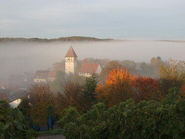 Häfnerhaslach im Nebel