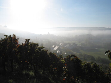 Häfnerhaslach im Nebel