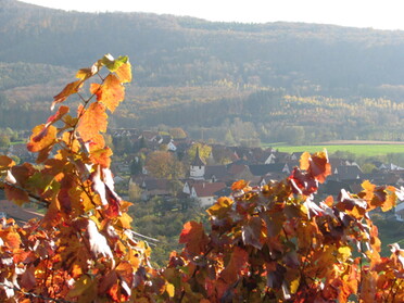 Herbstzauber in Ochsenbach