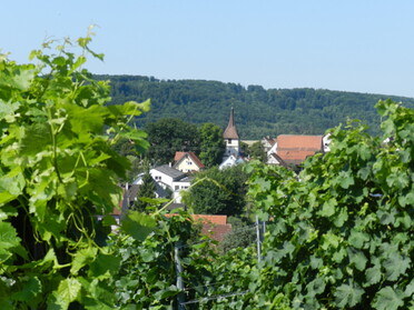 Weinbauort Ochsenbach