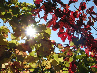 "Hier geht die Sonne länger unter"